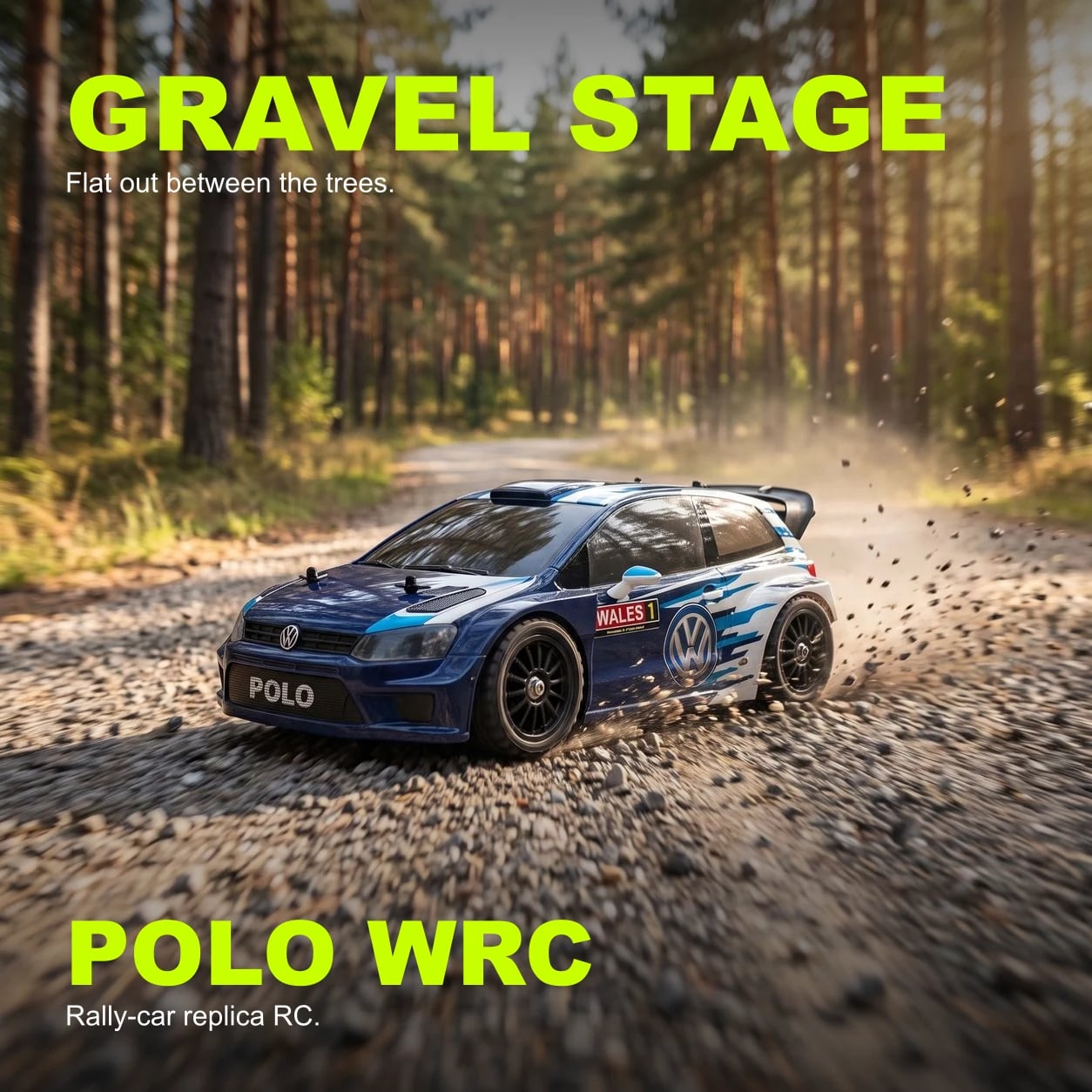 Polo WRC view 4