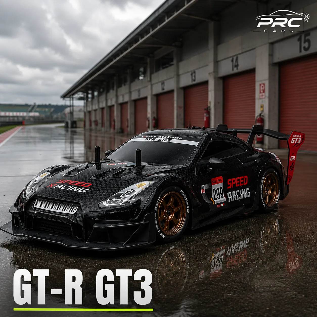 GT-R GT3