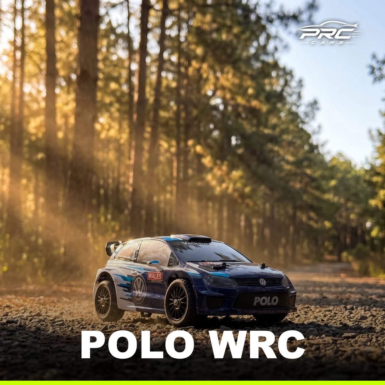 Polo WRC